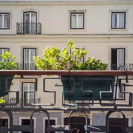 Intendente Prime By Hosty *